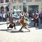 2014_Festival_image (8)