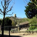 2011_Festival_image (2)
