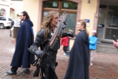 2012-festival-IMG_5198
