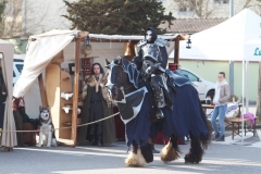2013-festival-086