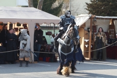 2013-festival-088