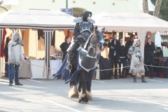 2013-festival-094