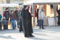 2013-festival-096