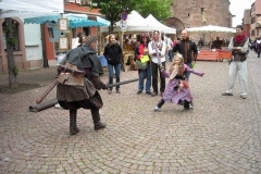 2014-Festival-29 (2)