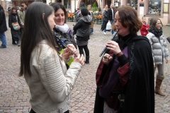 2014-Festival-35