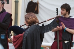 2014-Festival-7D_IMG_21852