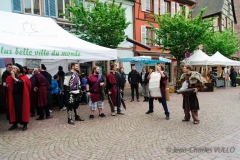 2014-Festival-DSC_6903