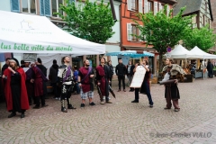 2014-Festival-DSC_6904