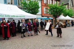 2014-Festival-DSC_6905
