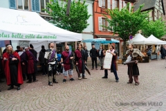 2014-Festival-DSC_6906