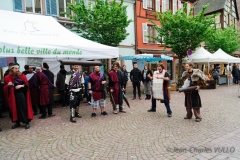 2014-Festival-DSC_6907