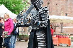 2014-Festival-DSC_6925