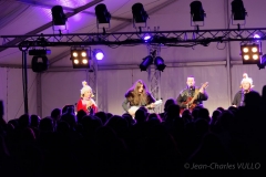 2014-Festival-DSC_7067