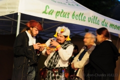 2014-Festival-DSC_7081