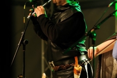 2014-Festival-DSC_7139